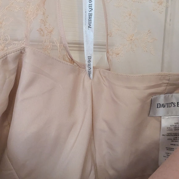 David's Bridal Champagne Bridesmaid Dress Size 8 - Picture 8 of 11